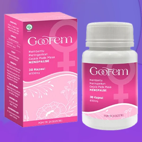 GOOFEM